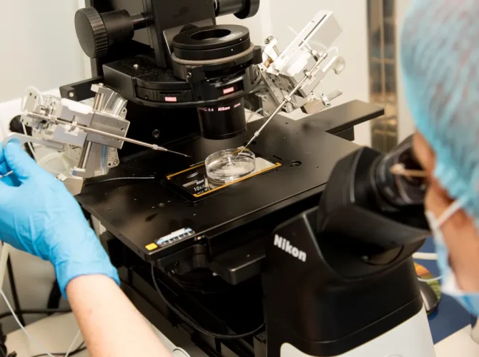 Fertilizarea in vitro – o șansă în plus de a avea un copil