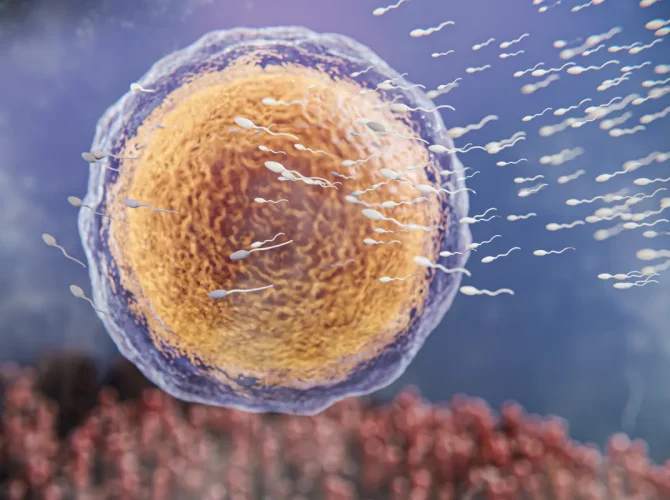 Spermograma – testul fertilității